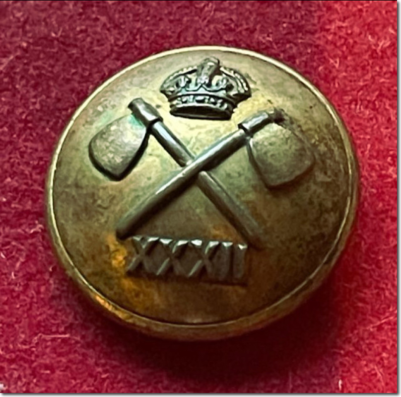 Punjab Pioneers Button