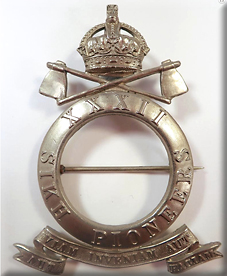 Regimental Badges