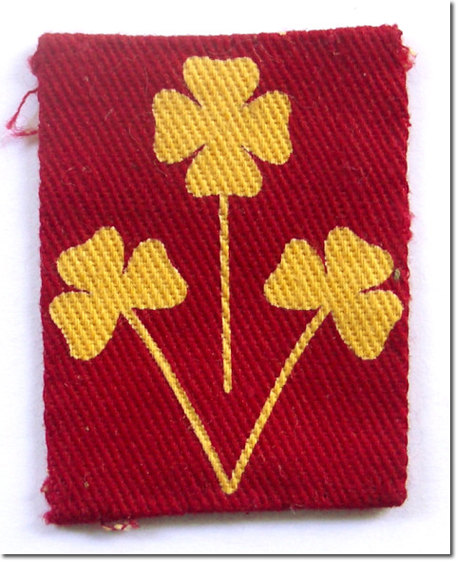 8th Indian Division Patch