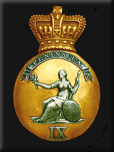 Badges