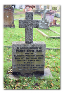 Powderham to Kenton: A Journey through War, Worship, and Empire