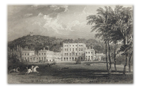 Haldon House
