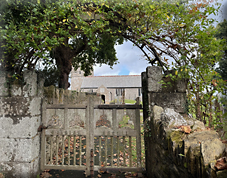 In Search of Tristan and Isolde on a Civil War Battlefield in Cornwall