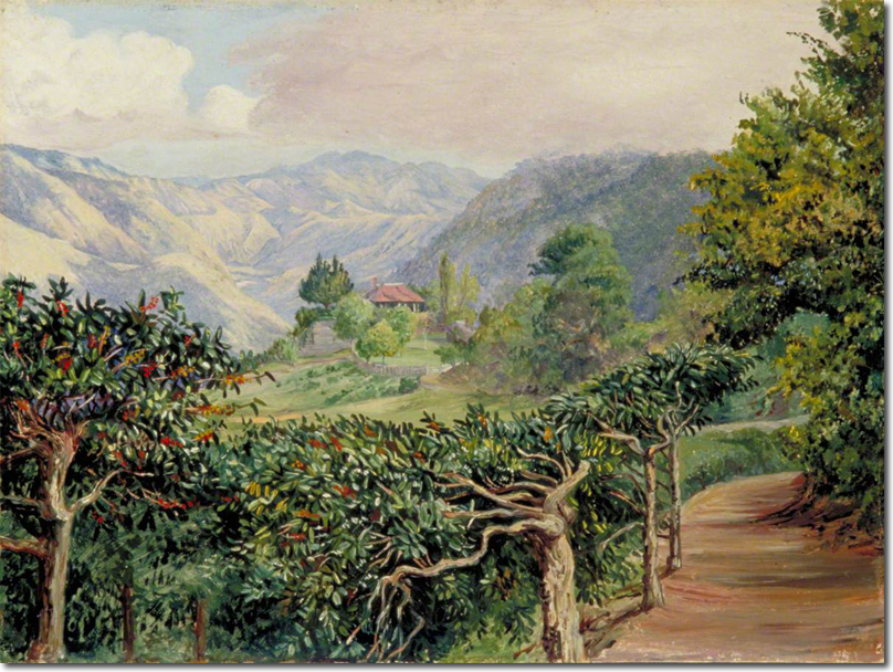 Henry Wickham