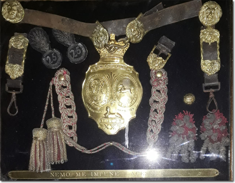 Collar Badgesp