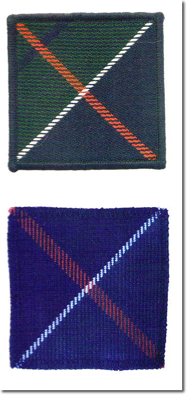 Badge Backing and TRF, 2005