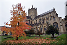 Rupert’s First Cathedral: A Day in Wells